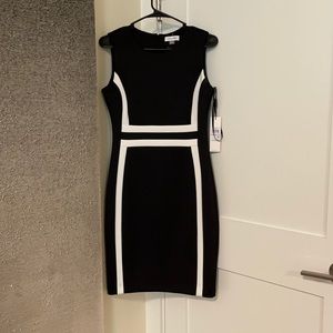 Calvin Klein Black and White Dress